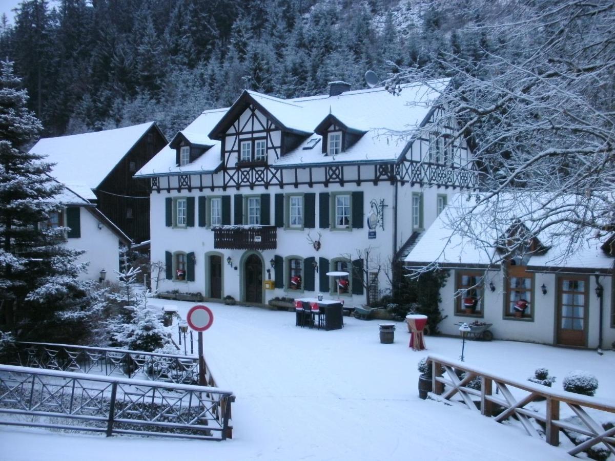 Gasthof Bischofsmuehle Helmbrechts Номер фото